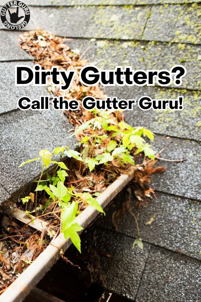 Dirty Gutters? Call The Gutter Guru
