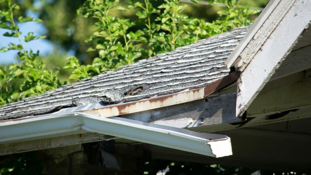 How Gutter Cleaning Can Prevent Water Damage